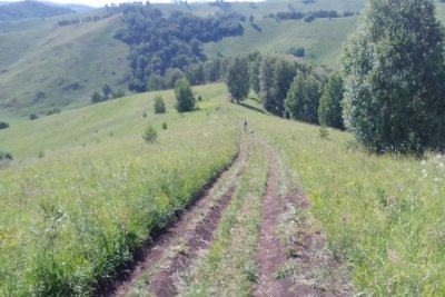 XVIII декадник "Источники успеха" в Горном Алтае и XIV природный марафон "Легенды Чуйского тракта", часть 2,  044